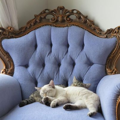 Spanish kits-blue chair