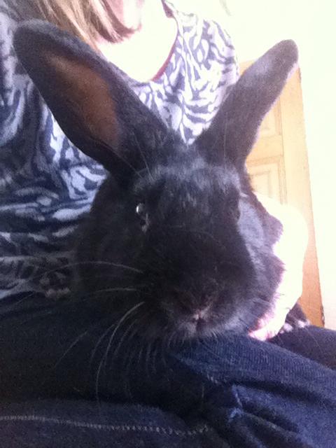 1798446_10151931678297100_637219554_n