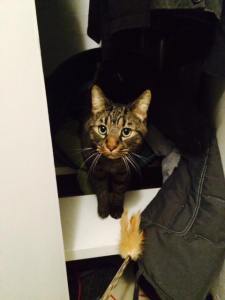 10924702_10152500262807100_1359200196122599055_n