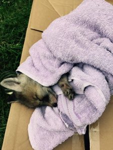 11019577_10152672967202100_8849098407351401309_o