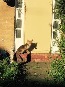 11169939_10152693779842100_8694324468741564195_n