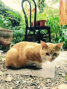 11221421_10152829323692100_746617851424675453_n