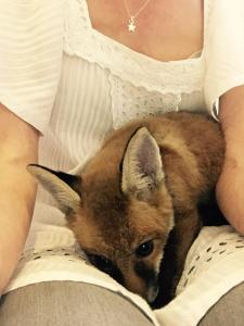 CFiRcTsWgAEI_mP.jpg-large