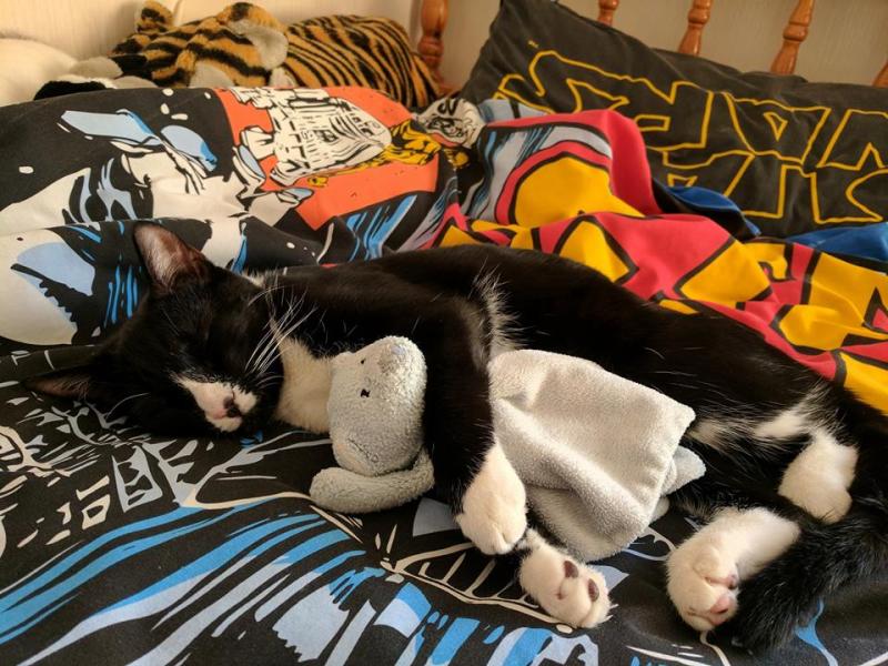 15310262_1224993320880330_1367038044_n-1