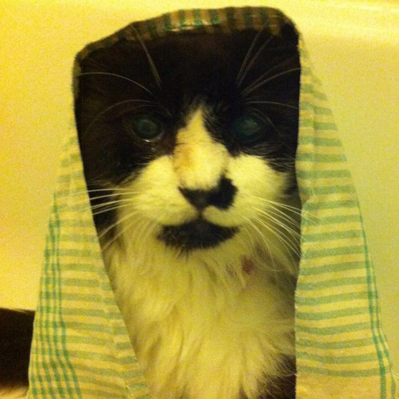 15390926_10153896212737100_3744140761494771211_n