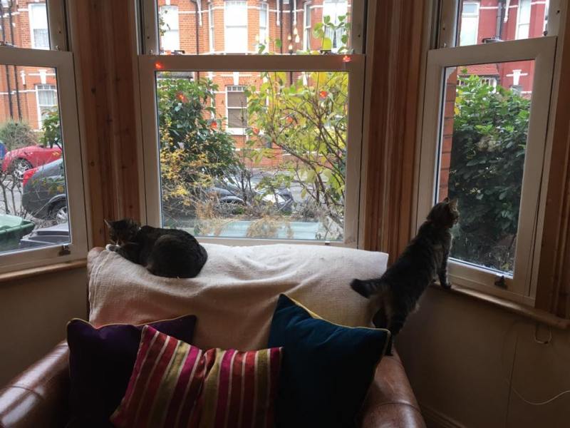 15492491_10154239020382984_6070477712255226154_n