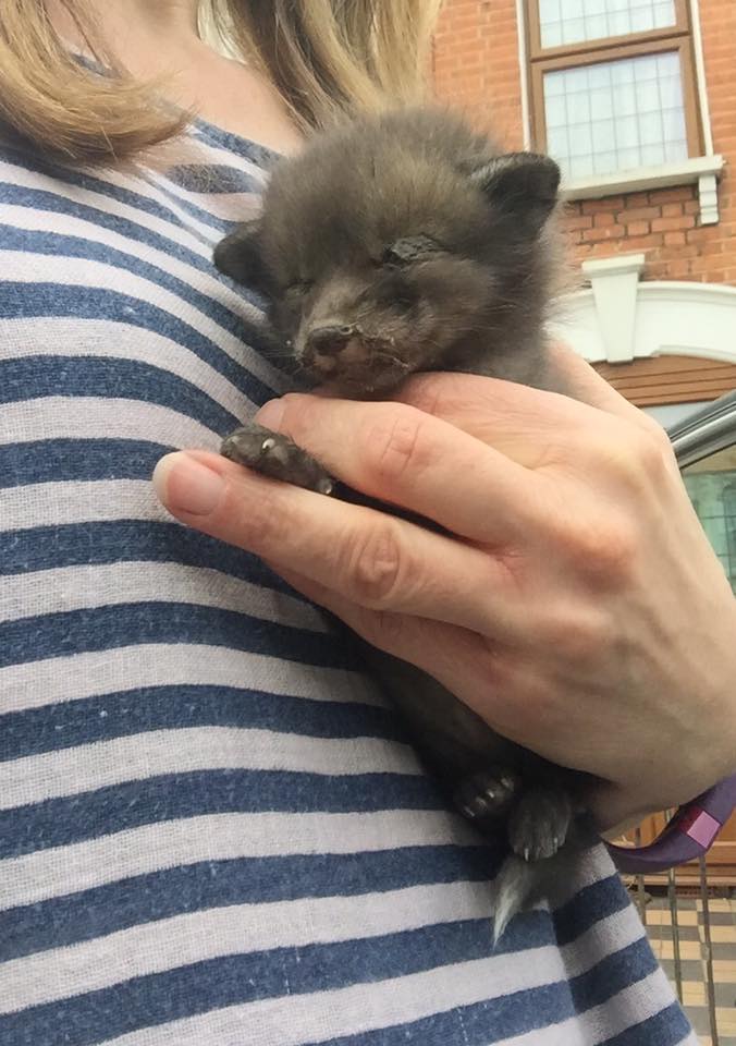 17904352_10154217652882100_3049159810606345361_n